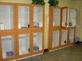 Fur & Feathers Pet Resort image 7