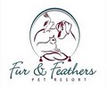 Fur & Feathers Pet Resort image 10