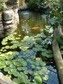 Garfield Park Conservatory image 6