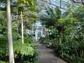 Garfield Park Conservatory image 8