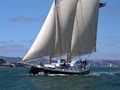 Gas Light Charters Sailing San Francisco Bay logo