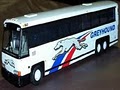 Greyhound Charter Services logo