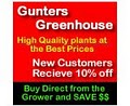 Gunters Greenhouse and Garden center image 6