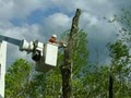 HUMBLE TREE SERVICE image 1