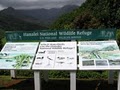 Hanalei National Wildlife Refuge image 3