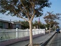 Herco Vinyl Fencing | Orange County , Los Angeles, South Bay image 5