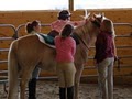 High Knoll Equestrian Center image 3