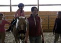 High Knoll Equestrian Center image 4