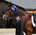 High Knoll Equestrian Center logo