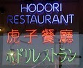 Hodori image 2