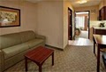 Holiday Inn Express Hotel & Suites Lansing-Leavenworth image 3