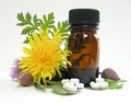 Homeopathic Health Services image 1