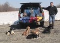 Hudson Valley Wild Goose Chasers image 1