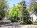 Island View Cottages image 1