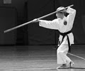 Japan International Karate Academy image 2
