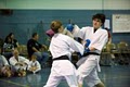 Japan International Karate Academy image 3