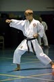 Japan International Karate Academy image 1