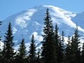 Jasmer's At Mt Rainier logo