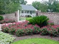 Jubilee Landscape, Inc. image 3