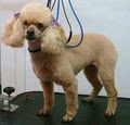 KELLYS PET GROOMING image 3