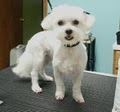 KELLYS PET GROOMING image 6