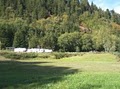 Klamath River RV Park image 4