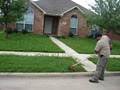Lawnborne Landscaping Sod Installation, Tree Service and Lawn Care Service image 2