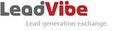 LeadVibe logo