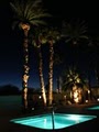 Lido Palms Resort and Spa image 5