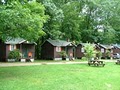 Maple Lodge Cabins image 5
