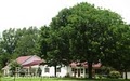 Meadow View Farm Bed and Breakfast Inn image 4