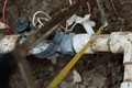 Menlo Park Sprinkler Repair image 2