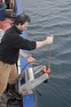 Montague Marine Research, LLC image 4