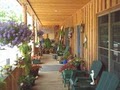 Morning Glory Inn image 5