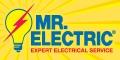 Mr Electric image 1