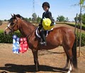 Napa Valley Equestrian Center image 2
