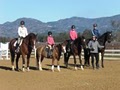 Napa Valley Equestrian Center image 4