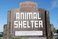 Neenah Animal Shelter logo