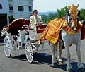 New Jersey Indian Wedding Horse for Baraat image 2