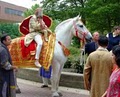 New Jersey Indian Wedding Horse for Baraat logo