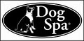 New York Dog Spa & Hotel image 5