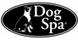 New York Dog Spa & Hotel image 6
