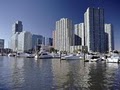 Newport Yacht Club and Marina logo