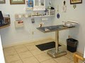 Ocean Valley Veterinary Hospital image 3