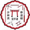 Okinawan Karate Club of Dallas image 5