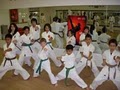 Okinawan Karate Club of Dallas image 7