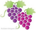 Palaia Vineyards & Winery image 2
