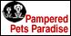 Pampered Pets Paradise logo