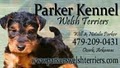 Parker Kennel image 2