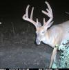 Pin Oak Hill Game Management image 4